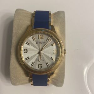 Citizen Gold/Navy Watch.
